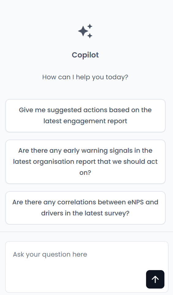 Copilot interface
